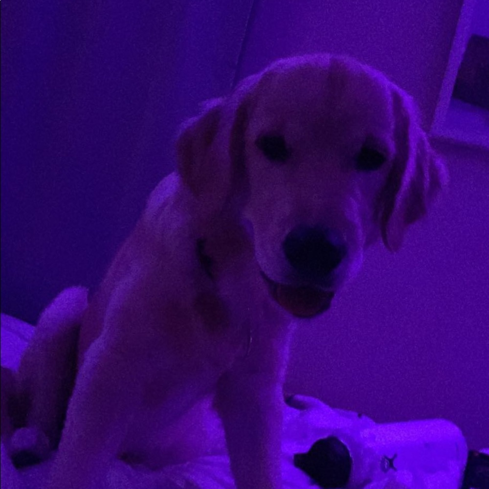 Meet your Posher, Oceane